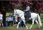 Pferd International 046